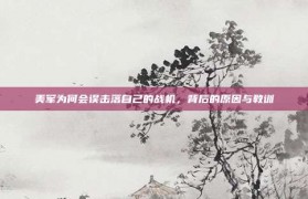 美军为何会误击落自己的战机，背后的原因与教训