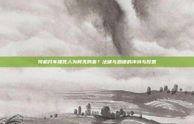 司机开车撞死人为何无刑责？法律与道德的冲突与反思