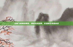 山航飞机勇闯暴雪，硬核完成起降，彰显航空英雄本色