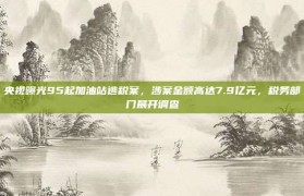 央视曝光95起加油站逃税案，涉案金额高达7.9亿元，税务部门展开调查