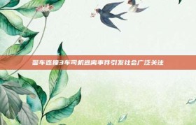 警车连撞3车司机逃离事件引发社会广泛关注