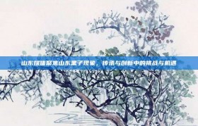 山东媒体聚焦山东黑子现象，传承与创新中的挑战与机遇