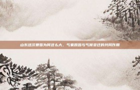 山东这次暴雪为何这么大，气象原因与气候变迁的共同作用