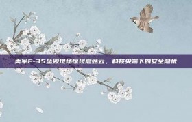 美军F-35坠毁现场惊现蘑菇云，科技尖端下的安全隐忧