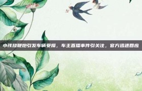 小孩放鞭炮引发车辆受损，车主直播事件引关注，官方迅速回应