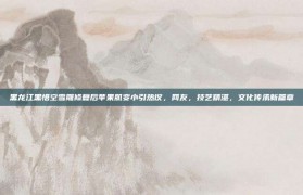 黑龙江黑悟空雪雕修复后苹果肌变小引热议，网友，技艺精湛，文化传承新篇章