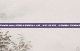 民宿老板3000元网购小熊被索赔3.8万，维权之路漫漫，消费者权益保护待加强