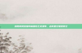 浏阳市民放加特林烟花汇成瀑布，点亮星空璀璨夜空