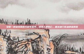 安徽一桥梁垮塌致大货车坠河，幸无人员伤亡，相关部门紧急调查原因