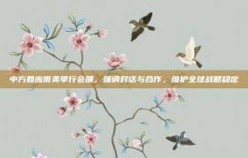 中方回应俄美举行会晤，强调对话与合作，维护全球战略稳定