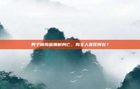 男子被狗追撞树身亡，狗主人责任何在？