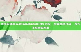 中国对加拿大部分商品实施100%关税，贸易摩擦升级，双方关系面临考验