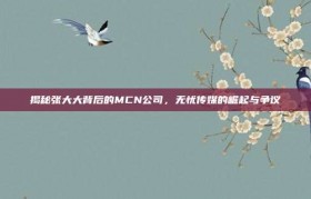 揭秘张大大背后的MCN公司，无忧传媒的崛起与争议