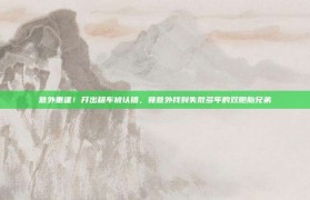 意外重逢！开出租车被认错，竟意外找到失散多年的双胞胎兄弟