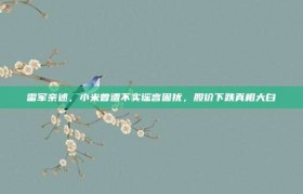 雷军亲述，小米曾遭不实谣言困扰，股价下跌真相大白