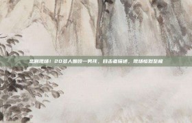 悲剧现场！20多人围殴一男孩，目击者描述，现场惨烈至极