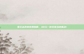 雪王冰淇淋非洲热销，30元一杯引发当地轰动！