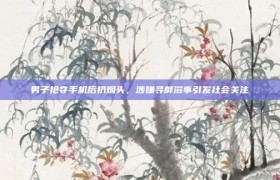 男子抢夺手机后扔烟头，涉嫌寻衅滋事引发社会关注