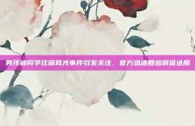 男孩被同学狂扇耳光事件引发关注，官方迅速回应调查进展