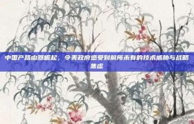 中国产路由器崛起，令美政府感受到前所未有的技术威胁与战略焦虑