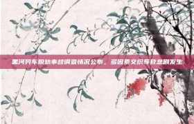 黑河列车脱轨事故调查情况公布，多因素交织导致悲剧发生