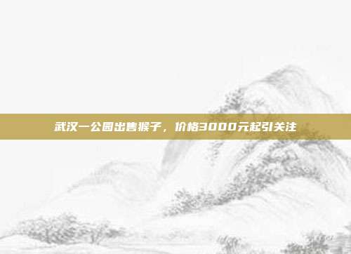 武汉一公园出售猴子，价格3000元起引关注