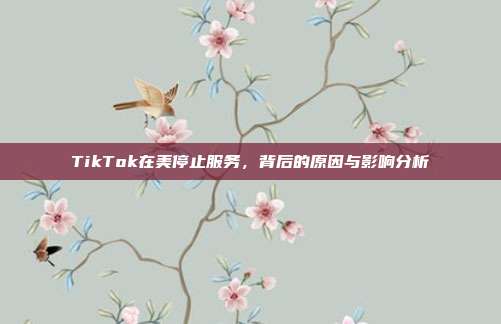 TikTok在美停止服务，背后的原因与影响分析