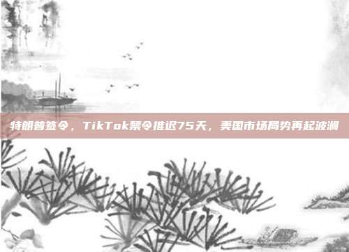 特朗普签令，TikTok禁令推迟75天，美国市场局势再起波澜