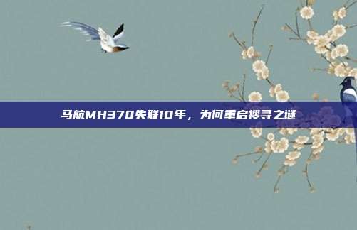 马航MH370失联10年，为何重启搜寻之谜