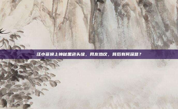 汪小菲换上神秘黑色头像，网友热议，背后有何深意？