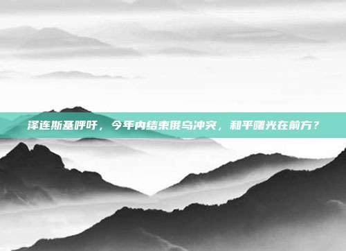 泽连斯基呼吁，今年内结束俄乌冲突，和平曙光在前方？