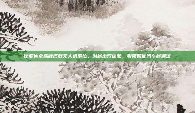 比亚迪全品牌搭载无人机系统，创新出行体验，引领智能汽车新潮流