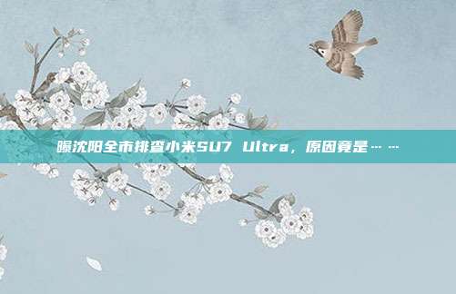 曝沈阳全市排查小米SU7 Ultra，原因竟是……