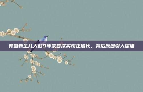 韩国新生儿人数9年来首次实现正增长，背后原因引人深思